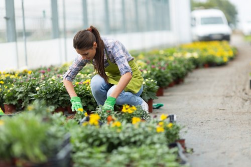 Gardeners Barking working on a well-kept urban garden