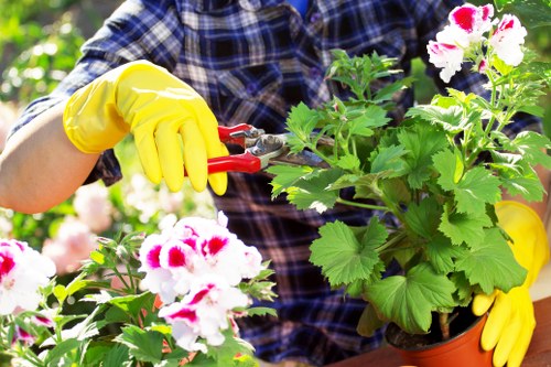 Professional garden care in Barking for healthy outdoor spaces