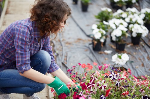 Garden maintenance in Barking with a neatly trimmed lawn and tidy borders