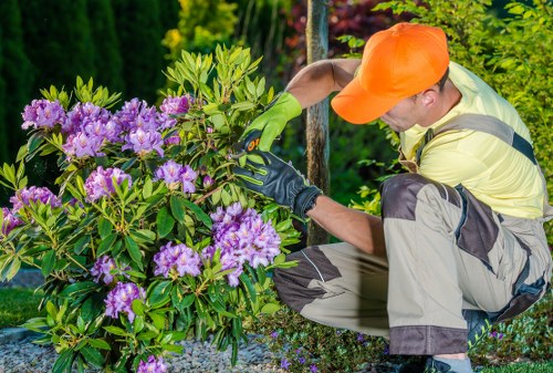 Trimming a tall hedge in Barking for improved appearance and safety