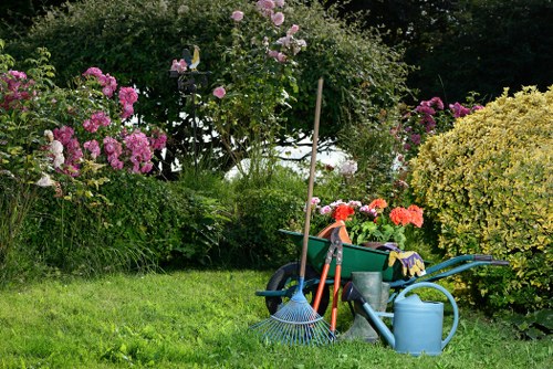 Small Barking garden with smart landscaping ideas