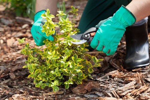 Garden maintenance and lawn mowing work in Barking