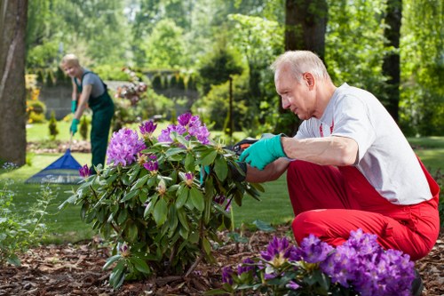 Risk assessment and site awareness during garden work