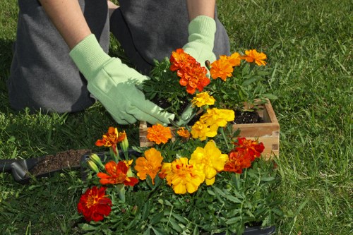 Accessibility request guidance for Gardeners Barking service information