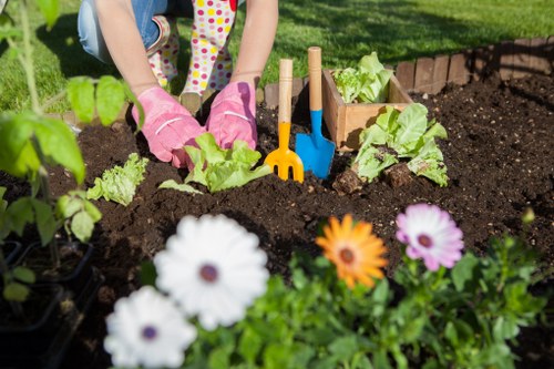 Local gardening maintenance in Barking for lawns and hedges