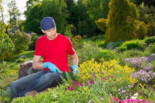Weed and moss treatment for a lawn in Barking