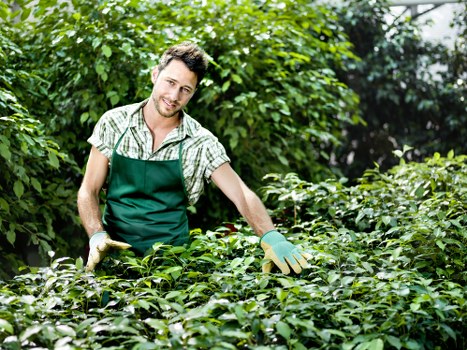 Routine hedge maintenance in Barking for tidy outdoor boundaries