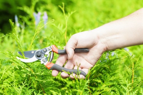 Low-maintenance garden design for Barking properties
