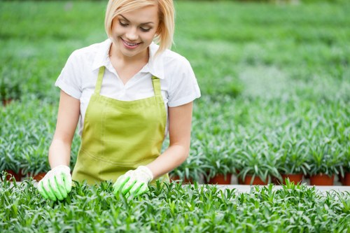Seasonal planting and garden care in Barking