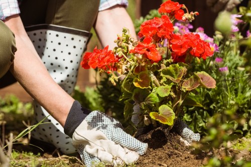 Supplier audit and worker protection in gardening services