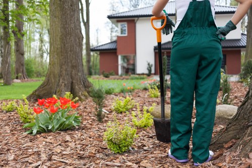 Gardeners Barking reflecting local garden services and seasonal plant care