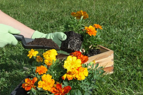 Professional garden lawn maintenance in Barking during seasonal care