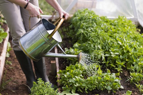 Reliable garden maintenance in Barking for a clean and attractive garden