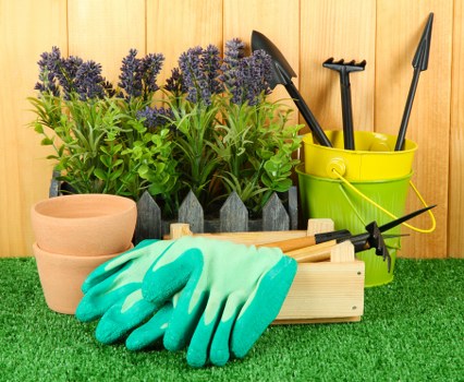 Barking gardening team focusing on healthy landscapes and tidy borders