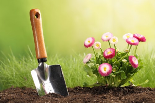 Seasonal hedge cutting in Barking to support healthy growth and privacy