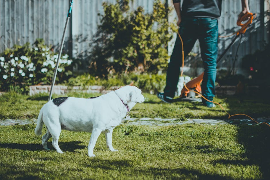 Hidden extra charges to avoid when hiring Barking gardeners