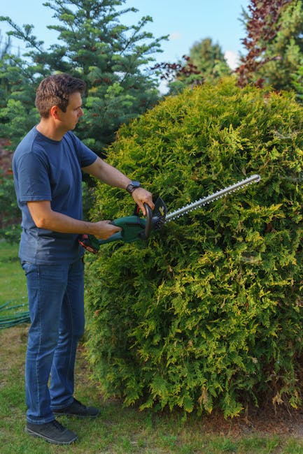 A man wearing a blue t-shirt and jeans is trimming a large, dense green hedge using a long-handled electric hedge trimmer, holding the tool with both hands and carefully shaping the foliage. The hedge